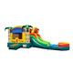 12'H Tropical Rainbow by Tago's Jump
