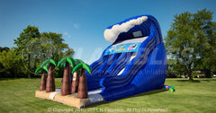 Catch A Wave Dual Lane Slide by Cutting Edge