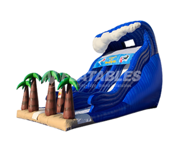 Catch A Wave™ (20’) Dual Lane Slide by Cutting Edge
