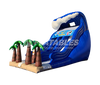 Image of Catch A Wave™ (20’) Dual Lane Slide