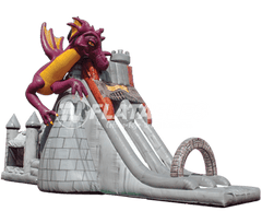 Dragon’s Tower Slide Combo™