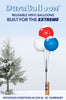 Image of Reusable Vinyl Balloon Light Pole Kit - 1 Balloon