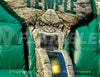 Image of Forbidden Temple™