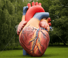 Image of Inflatable Heart Display by Cutting Edge