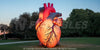 Image of Inflatable Heart Display by Cutting Edge
