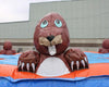 Image of Whack-A-Mole