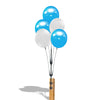 Image of White and Blue Reusable DuraBalloon Cluster Kit