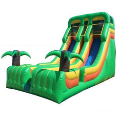 20′ Dual Lane Tropical Slide S041
