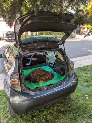 The Mini Tarp (3'x3')