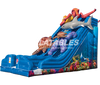 Image of Ocean Quest™ (29’) Dual Slide