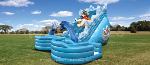 POLARPLUNGE™ Dual Water Slide
