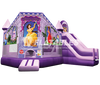 Image of Princess Palace Club/Slide Combo™