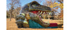 Image of Raptor Single Slide™