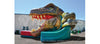 Image of Raptor Triple Slide™