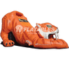 Image of Sabretooth™ (20’) Slide
