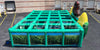 Image of Scarecrow Maze™ 1