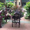 Image of Geometric Metal Planter