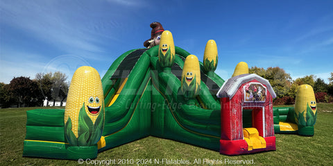 Triple Scarecrow Slide