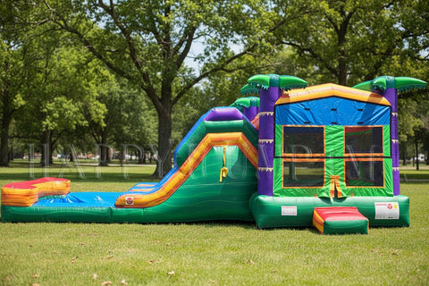 Tropical Splash With Pool - CO2187
