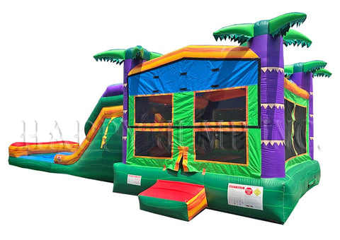 Tropical Splash With Pool - CO2187