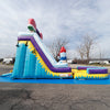 Image of 19'H Ice Cream Slide Wet n Dry with Removable Art Panel
