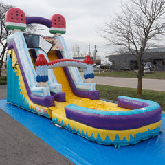 19'H Ice Cream Slide Wet n Dry with Removable Art Panel