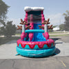 Image of 19'H Pink and Blue Wave Slide Wet n Dry