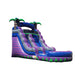15'H Deep River Purple by Tago's Jump