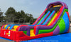 Image of Wacky (22’) Dual Wet/Dry Slide