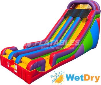 Wacky 22' Dual Wet Dry Slide