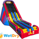 Wacky 28' Dual Slide Wet Dry