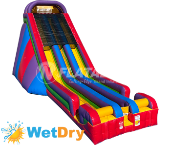 Wacky 28' Dual Slide Wet Dry