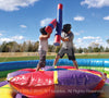Image of Joust Pole