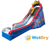 Image of Wild One Wet/Dry Slide™