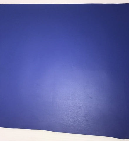 Moose Supply Solid Blue Vinyl Strip 12" x 60"