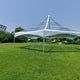 40' Hexagon Premium High Peak Frame Party Tent, Clear