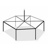 Image of 20' x 20' Hexagon High Peak Canopy Tent Frame Only