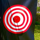 Bullseye Canvas for SpaceSaver Dunker