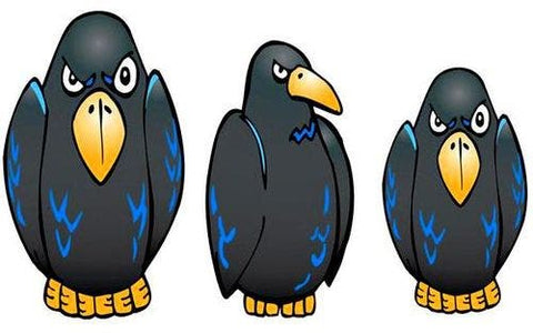 Conk the Crow Interactive Carnival Frame Game