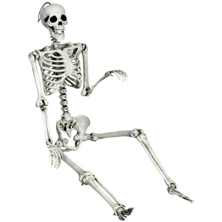 Costway Christmas Lighting & Accessories 5.4ft Halloween Skeleton Life Size Realistic Full Body Hanging by Costway 83590624 5.4ft Halloween Skeleton Life Size Realistic Full Body Hanging Costway