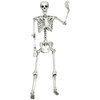 Image of Costway Christmas Lighting & Accessories 5.4ft Halloween Skeleton Life Size Realistic Full Body Hanging by Costway 83590624 5.4ft Halloween Skeleton Life Size Realistic Full Body Hanging Costway