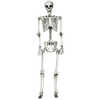 Image of Costway Christmas Lighting & Accessories 5.4ft Halloween Skeleton Life Size Realistic Full Body Hanging by Costway 83590624 5.4ft Halloween Skeleton Life Size Realistic Full Body Hanging Costway