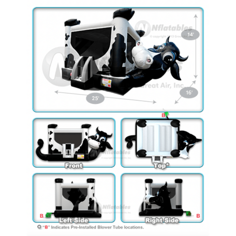 14'H Cow Belly Bouncer by Cutting Edge