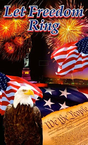 Replacement Wingless Dunking Booth Vinyl Canvas - Patriotic