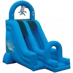 18'H Dolphin Express with Pool by eInflatables