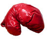 Image of Boxing Gloves (Big) (One Pair)