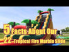 Image of Buy Commercial Water Slide