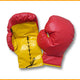 Inflatable Boxing Gloves by Ultimate Jumpers