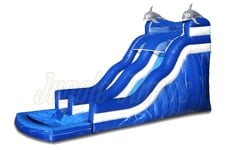 Dolphin Water Slide