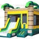 Inflatable Palm Slide Combo